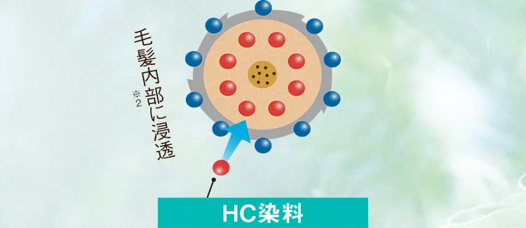 HC染料