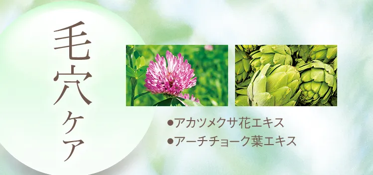 毛穴ケア ●アカツメクサ花エキス ●アーチチョーク葉エキス