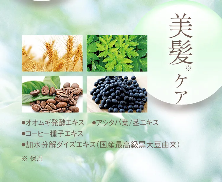 美髪※ケア ●オオムギ発酵エキス ●アシタバ葉/茎エキス ●コーヒー種子エキス ●加水分解ダイズエキス（国産最高級黒大豆由来） ※ 保湿
