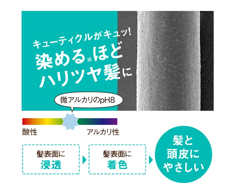 キューティクルがキュッ！染める※ほどハリツヤ髪に
