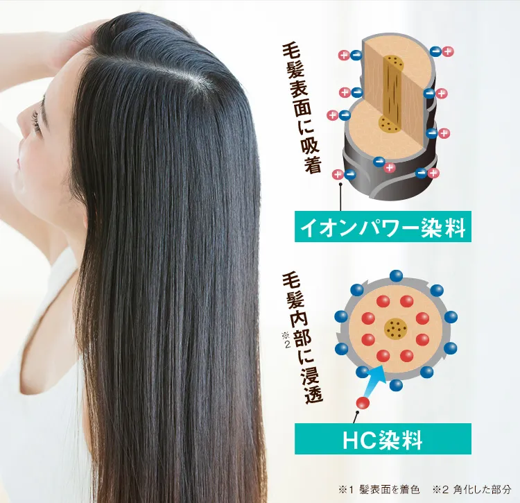 毛髪表面に吸着 イオンパワー染料 毛髪内部に浸透 HC染料