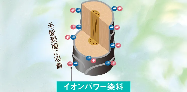イオンパワー染料