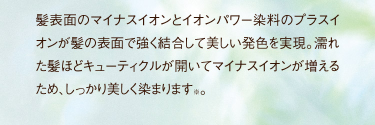 髪表面のマイナスイオンとイオンパワー染料のプラスイオンが髪の表面で強く結合して美しい発色を実現。濡れた髪ほどキューティクルが開いてマイナスイオンが増えるため、しっかり美しく染まります※。