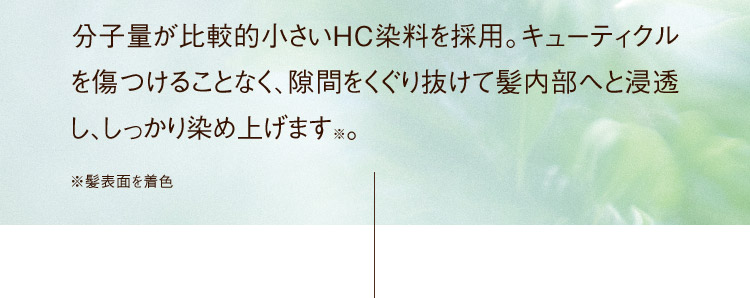 分子量が比較的小さいHC染料を採用。キューティクルを傷つけることなく、隙間をくぐり抜けて髪内部へと浸透し、しっかり染め上げます※。
