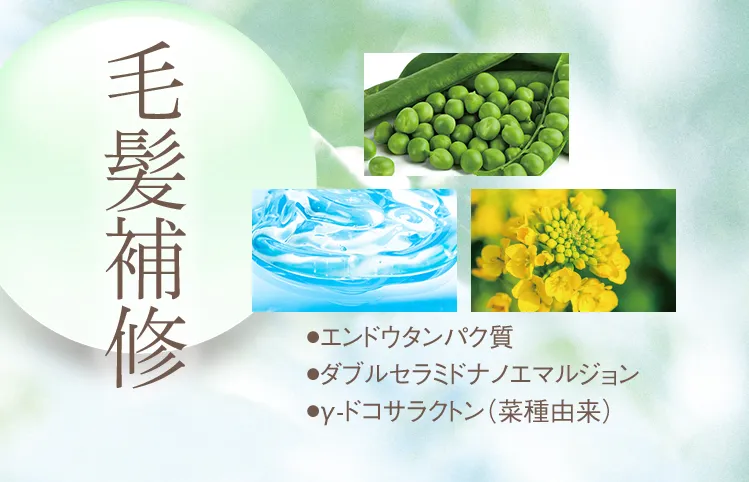 毛髪補修 ●エンドウタンパク質 ●ダブルセラミドナノエマルジョン ●γ-ドコサラクトン(菜種由来)