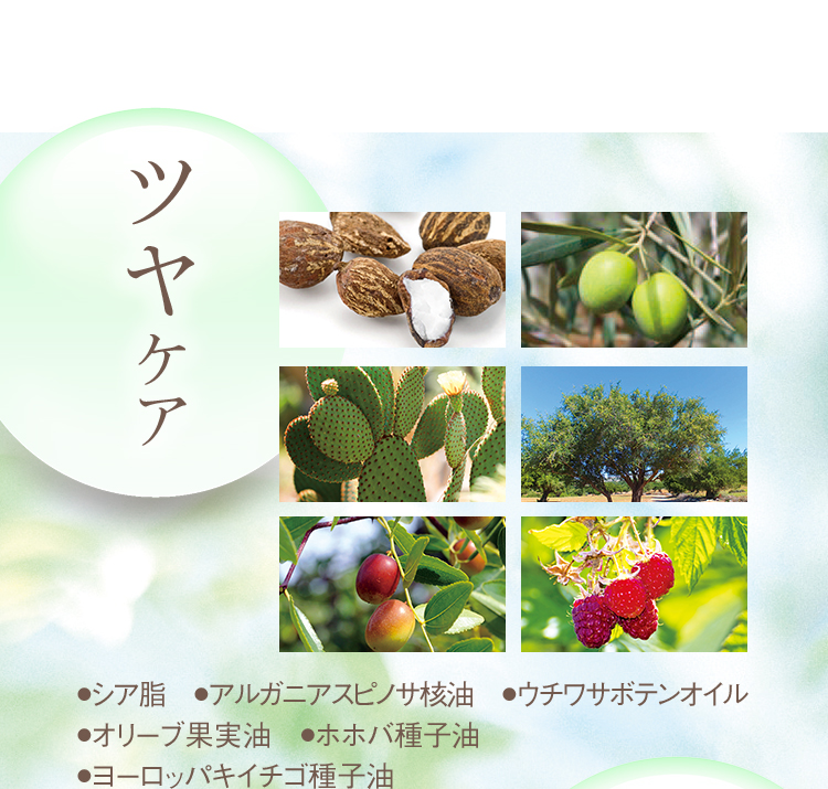 ツヤケア ●シア脂 ●アルガニアスピノサ核油 ●サボテンオイル ●オリーブ果実油 ●ホホバ種子油 ●ヨーロッパキイチゴ種子油