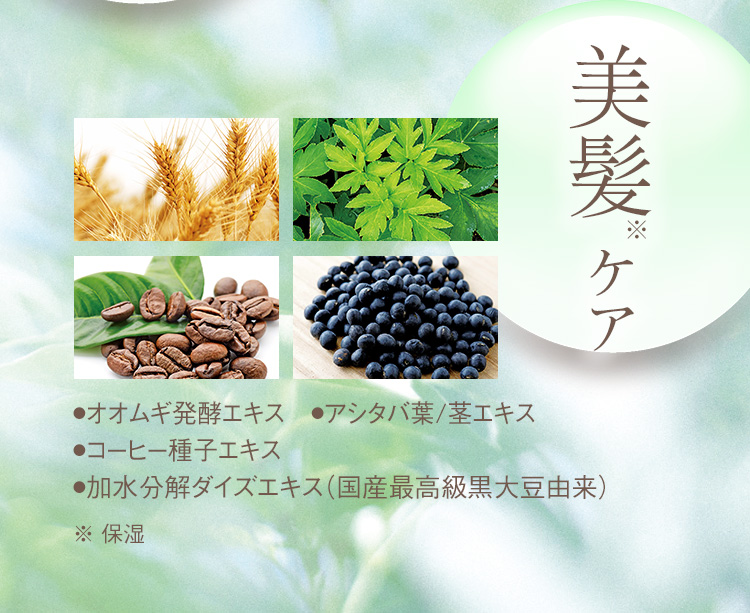 美髪※ケア ●オオムギ発酵エキス ●アシタバ葉/茎エキス ●コーヒー種子エキス ●加水分解ダイズエキス（国産最高級黒大豆由来） ※ 保湿