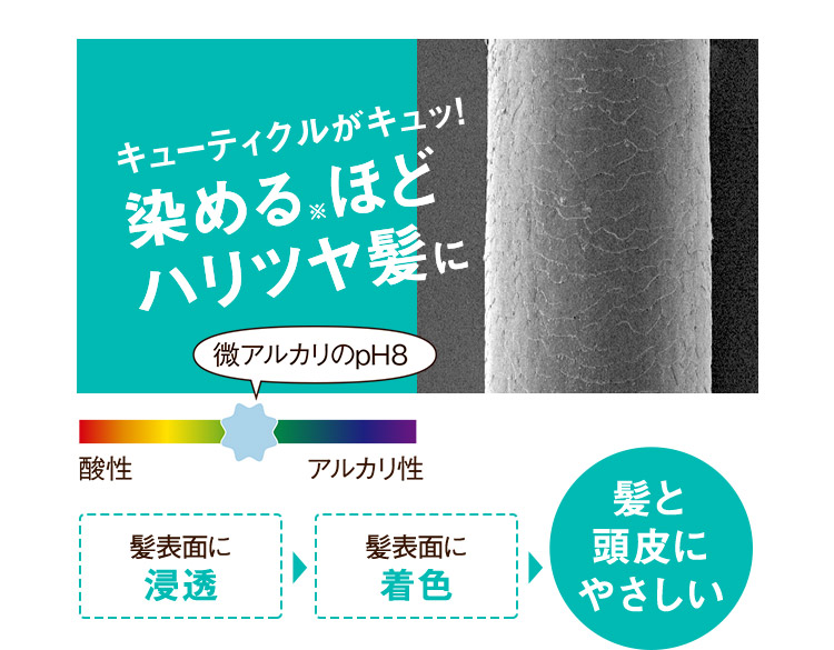 キューティクルがキュッ！染める※ほどハリツヤ髪に