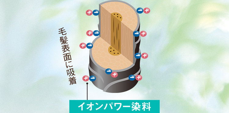 イオンパワー染料