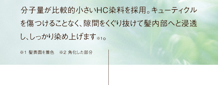 分子量が比較的小さいHC染料を採用。キューティクルを傷つけることなく、隙間をくぐり抜けて髪内部へと浸透し、しっかり染め上げます※。