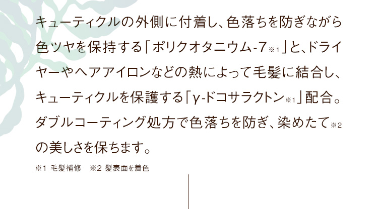 キューティクルの外側に付着し、色落ちを防ぎながら色ツヤを保持する「ポリクオタニウム-7」と、ドライヤーやヘアアイロンなどの熱によって毛髪に結合し、キューティクルを保護する「γ-ドコサラクトン」配合。ダブルコーティング処方で色落ちを防ぎ、染めたて※の美しさを保ちます。