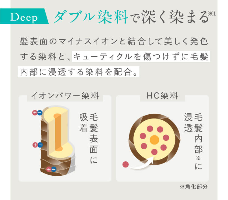 ダブル染料で深く染まる