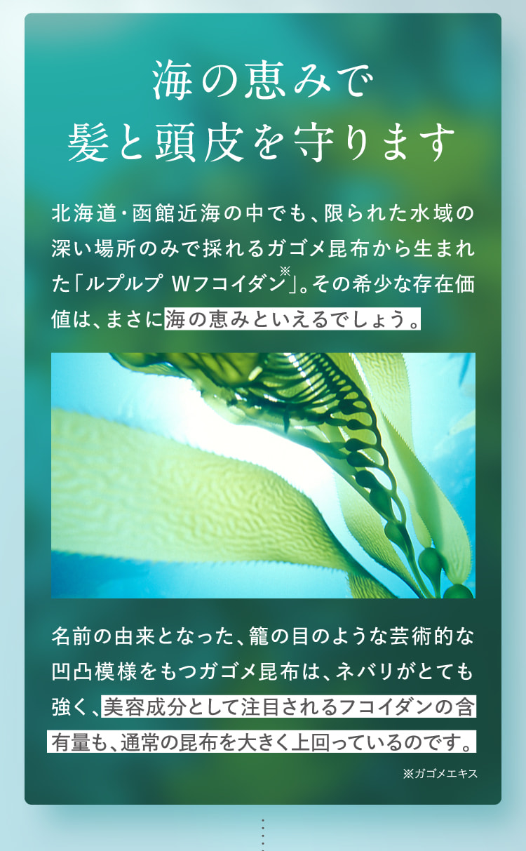 海の恵みで髪と頭皮を守ります