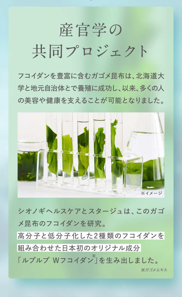産官学の共同プロジェクト