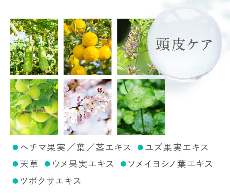 頭皮ケア