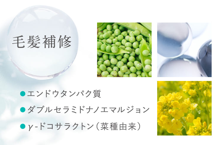 毛髪補修