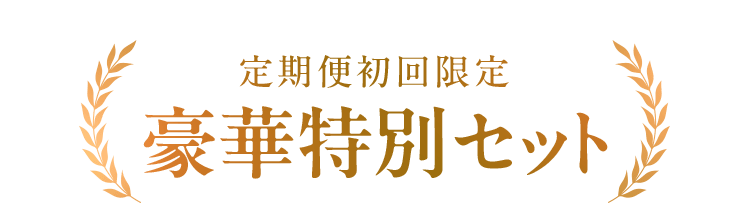 定期便初回限定 豪華特別セット