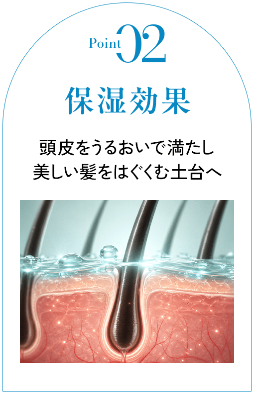 Point02 保湿効果 頭皮をうるおいで満たし 美しい髪をはぐくむ土台へ(頭皮と毛穴に水分が浸透する断面イメージ図)
