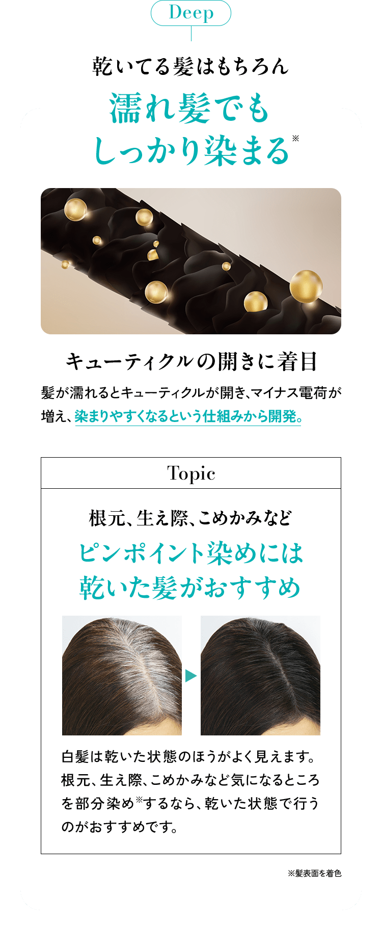 Deep 濡れ髪でもしっかり染まる※ キューティクルの開きに着目 髪が濡れるとキューティクルが開き、マイナス電荷が増え、染まりやすくなるという仕組みから開発。 Topic:根元、生え際、こめかみなど ピンポイント染めには乾いた髪がおすすめ 白髪は乾いた状態のほうがよく見えます。根元、生え際、こめかみなど気になるところを部分染め※するなら、乾いた状態で行うのがおすすめです。※髪表面を着色