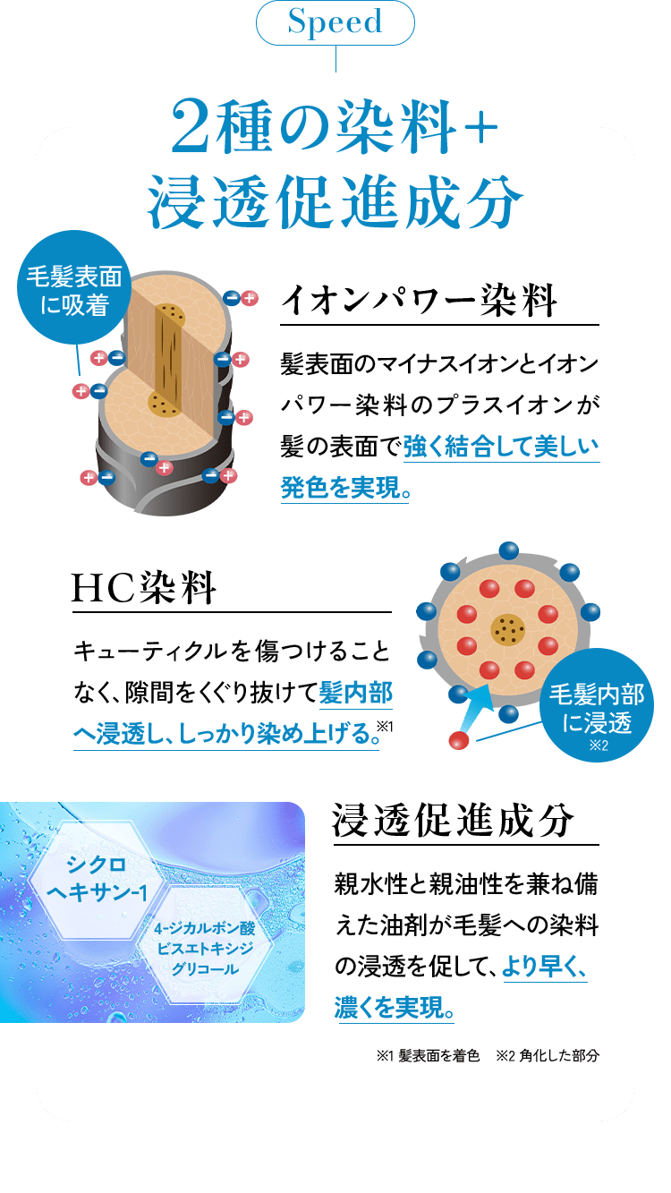 Speed 2種の染料+浸透促進成分 毛髪表面に吸着:イオンパワー染料 髪表面のマイナスイオンとイオンパワー染料のプラスイオンが髪の表面で強く結合して美しい発色を実現。HC染料 キューティクルを傷つけることなく、隙間をくぐり抜けて髪内部へ浸透し、しっかり染め上げる。※1 毛髪内部に浸透※2 浸透促進成分:シクロヘキサン-1,4-ジカルボン酸ビスエトキシジグリコール 親水性と親油性を兼ね備えた油剤が毛髪への染料の浸透を促して、より早く、濃くを実現。※1髪表面を着色 ※2角化した部分