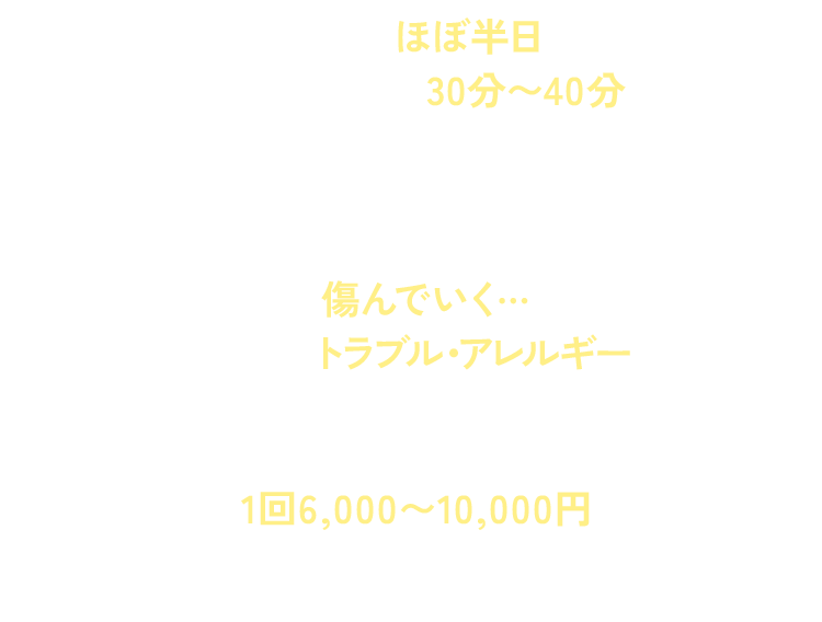 美容室:ほぼ半日、30分〜40分/市販品:傷んでいく…トラブル・アレルギー、1回6,000〜10,000円 という比較の数値項目