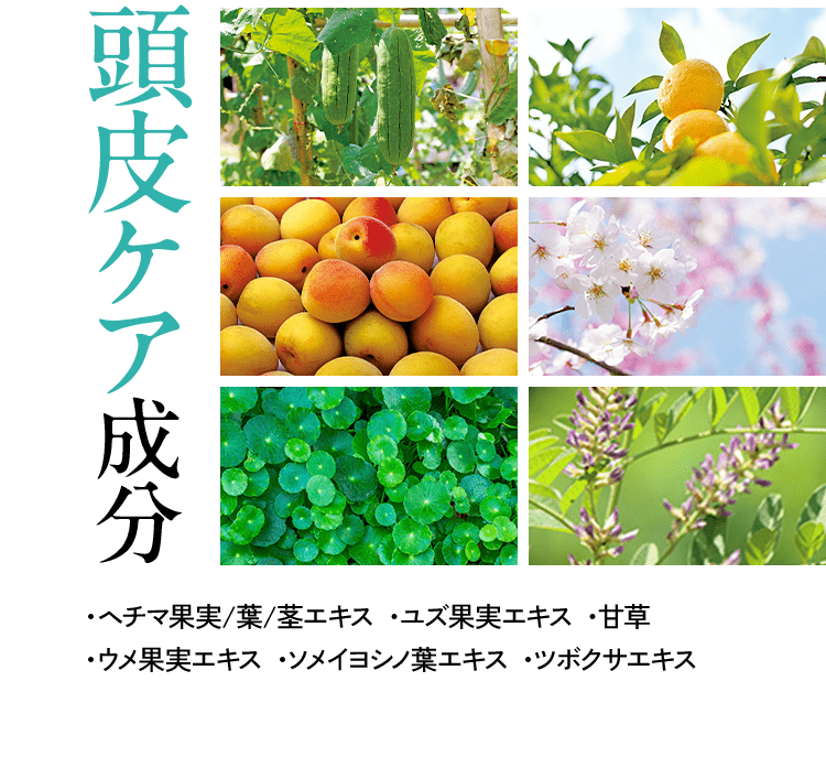 頭皮ケア(写真:ヘチマ、柑橘の実、あんず、桜の花、ツボクサ、藤の花)