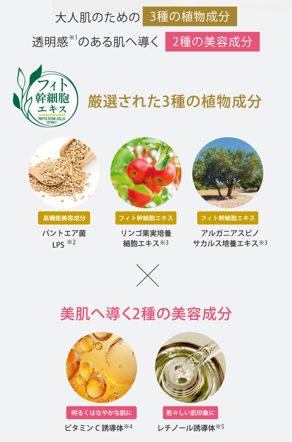 フィト幹細胞エキス【大人肌のための３種の植物成分（高機能美容成分（パントエア菌LPS※２）、フィト幹細胞エキス（リンゴ果実培養細胞エキス※3）、フィト幹細胞エキス（アルガニアスピノサカルス培養エキス※3））】と、【美肌へ導く２種の美容成分（明るくはなやかな肌に（ビタミンC誘導体※4）、若々しい肌印象に（レチノール誘導体※5））】※2 アレルギンフリー穀物「白タカキビ」由来の「パントエア・アグロメランスLPS/ホワイトソルガム培養製法」により抽出したエキスのこと。LPS研究のパイオニア自然免疫応用技研(株)が四半世紀の研究を重ね、安全性と効果に関して最も多くのエビデンスを有したLPS。［表示名称：パントエアアグロメランス培養溶解質エキス］　※3 配合目的：整肌　※4 テトラヘキシルデカン酸アスコルビル（整肌）　※5 パルミチン酸レチノール（整肌）□フィトとは植物由来のことを指します