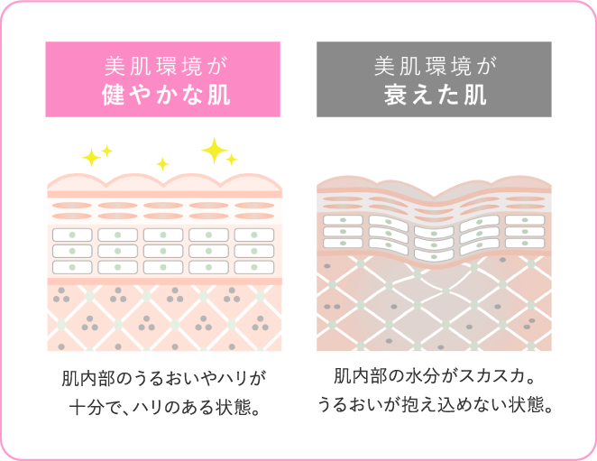 美肌環境が健やかな肌 肌内部のうるおいやハリが十分で、ハリのある状態。/ 美肌環境が衰えた肌 肌内部の水分がスカスカ。うるおいが抱え込めない状態。