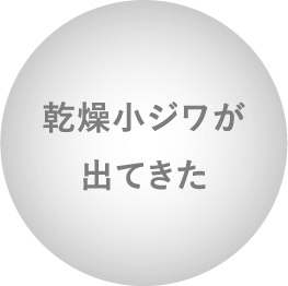 乾燥小ジワが出てきた