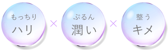 もっちりハリ ぷるん潤い 整うキメ