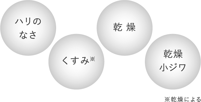 ハリのなさ / くすみ※ / 乾燥 / 乾燥小ジワ