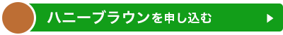 ハニーブラウンを申し込む