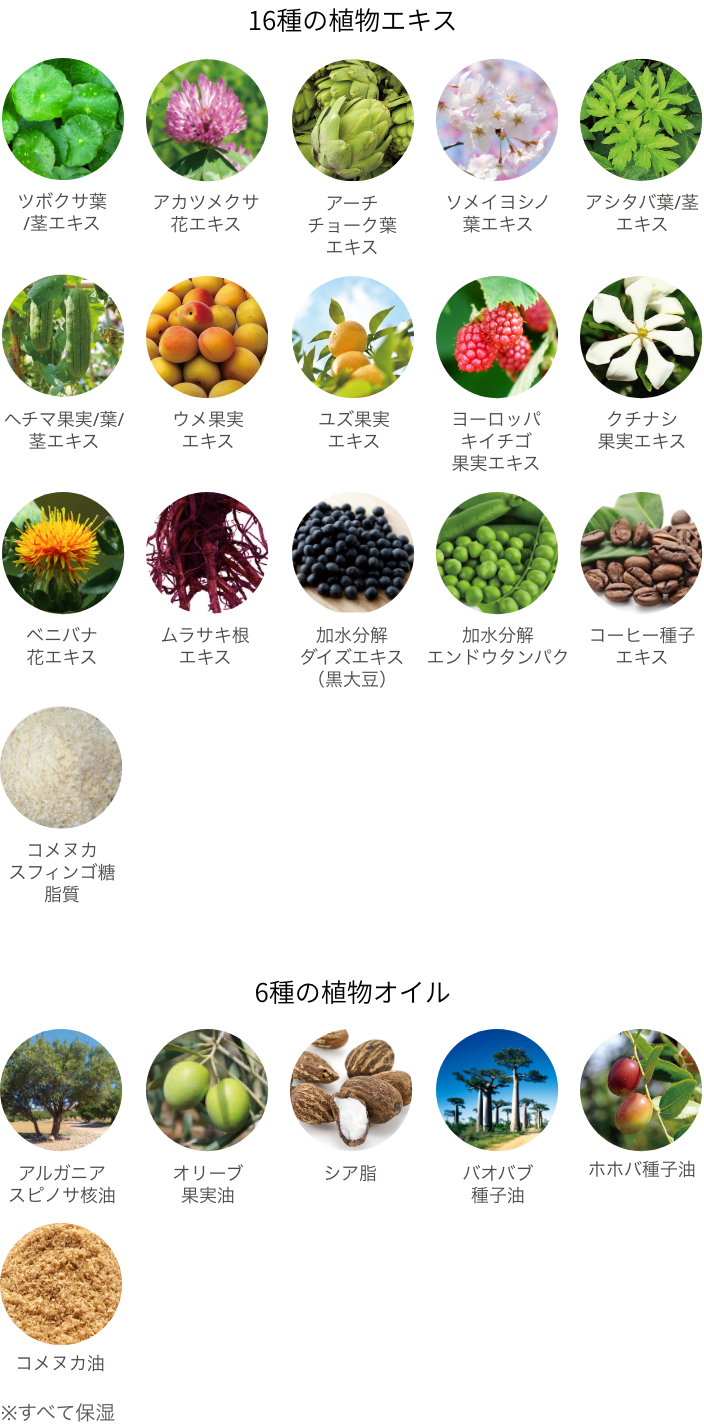 22種の植物の恵み
