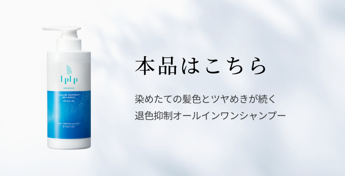 お試しや旅行におすすめ!