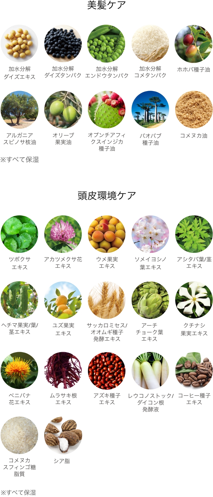 color-lineup