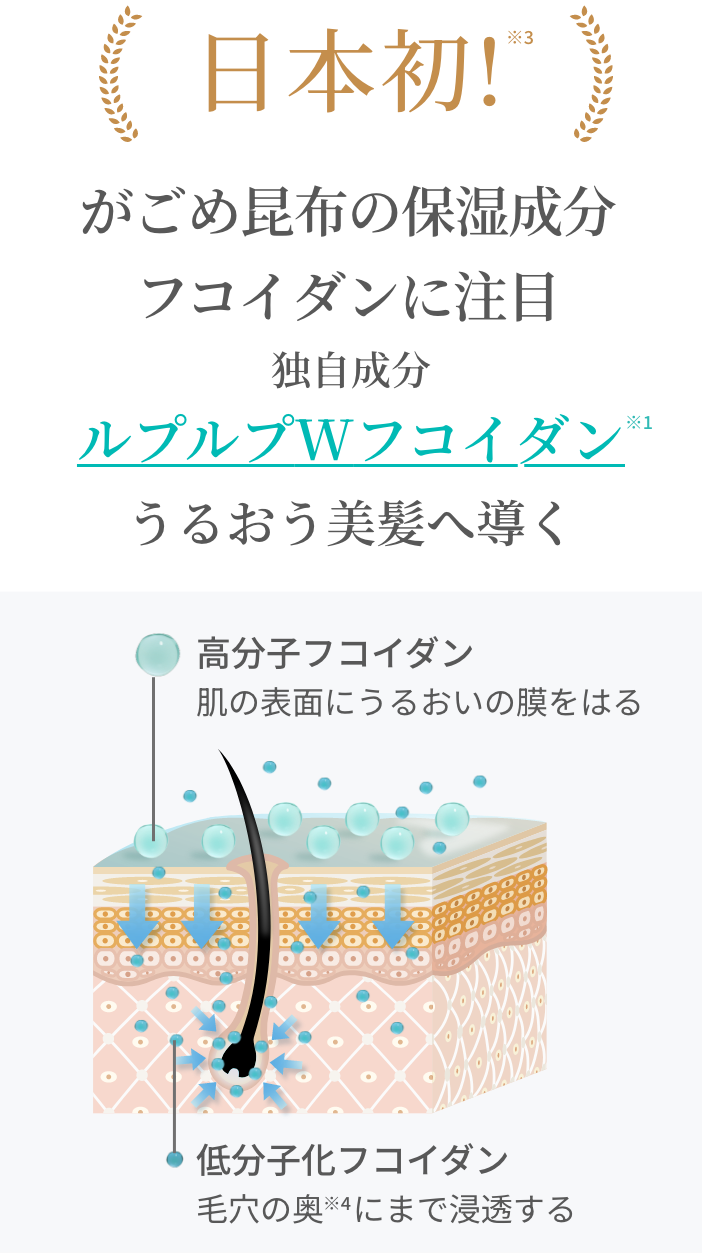日本初!