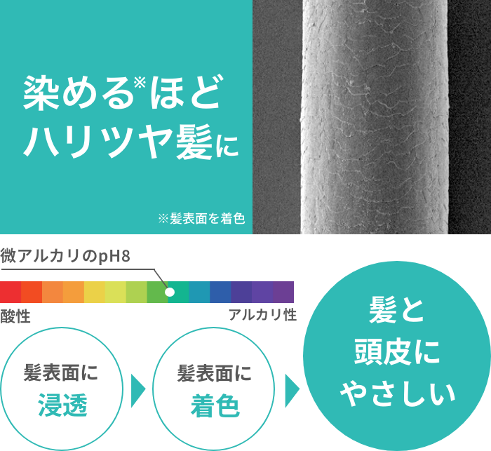 染めるほどハリツヤ髪に