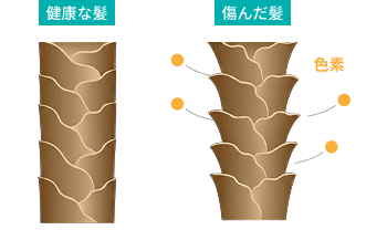 ダメージ予防イラスト