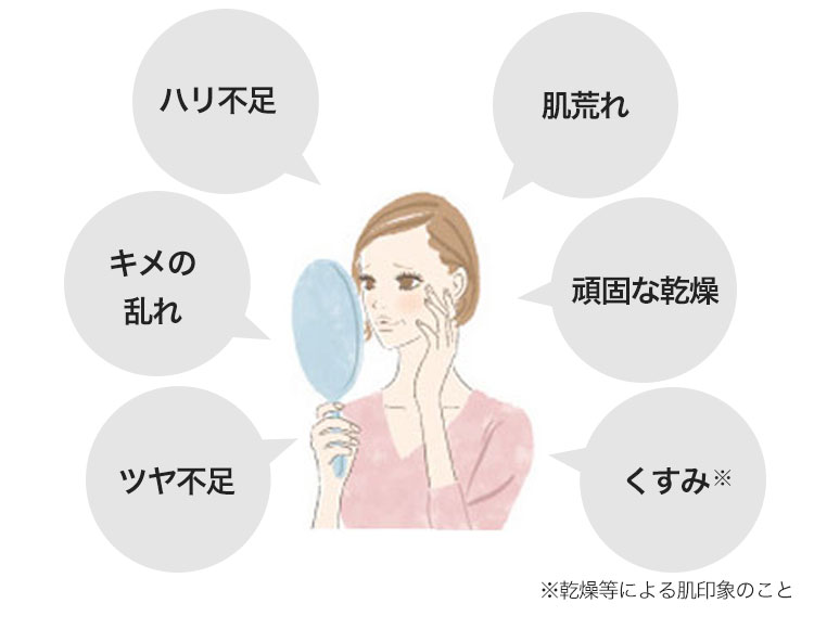 ハリ不足 肌荒れ キメの乱れ 頑固な乾燥 ツヤ不足 くすみ