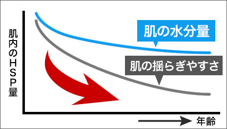 肌内のヒートショックプロテイン量が年齢によって減少してしまい弱まった肌力の図