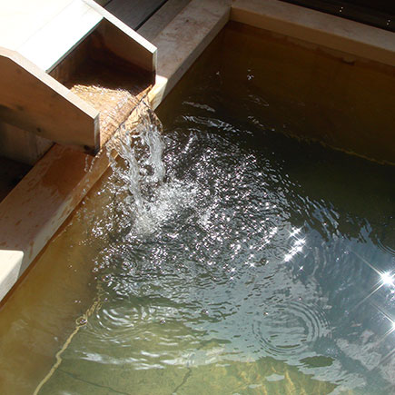 温泉によるヒートショックプロテイン効果