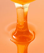 サトウカエデ樹液