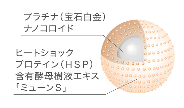 プラチナナノコロイドとミューンS®をコーティングしたことを示す図