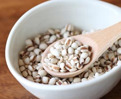 ハトムギ種子エキス