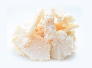 各種アミノ酸の宝庫酒粕エキス