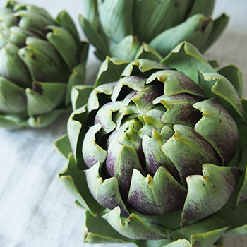 アーティチョーク葉エキス