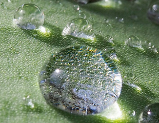 吸着型ヒアルロン酸