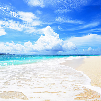 髪や頭皮に優しい10の無添加処方