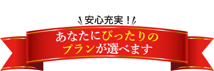 安心充実!あなたにぴったりのプランが選べます!