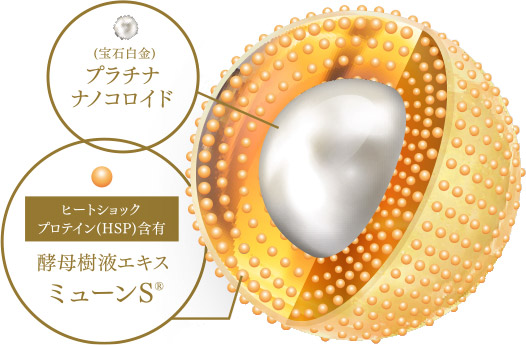 プラチナナノ化HSP